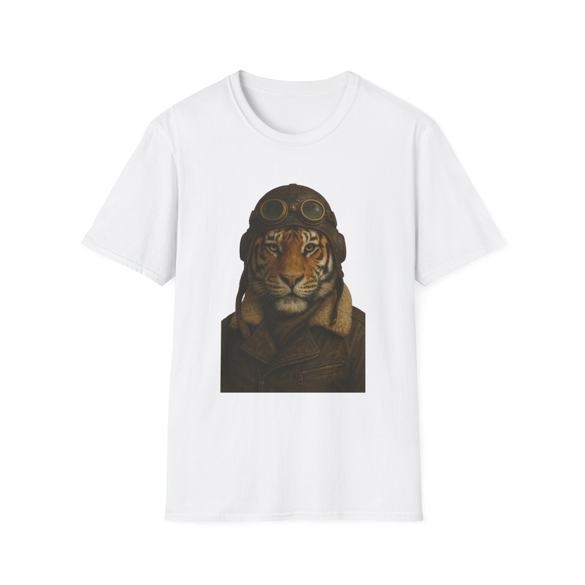 Flying Tiger Pilot from "Steampunk Kingdom"