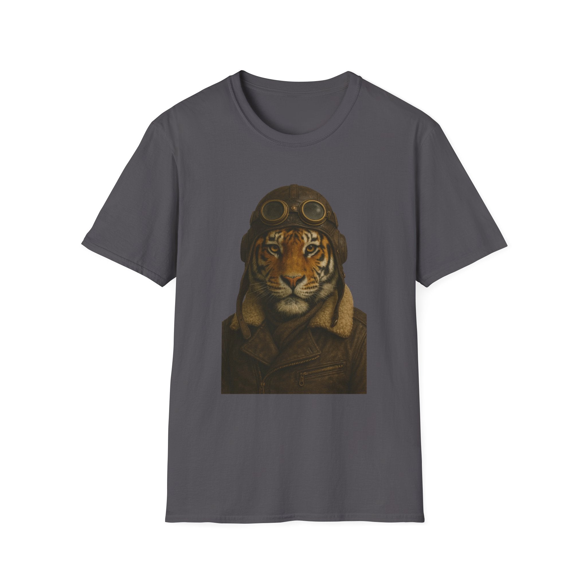 Flying Tiger Pilot from "Steampunk Kingdom"